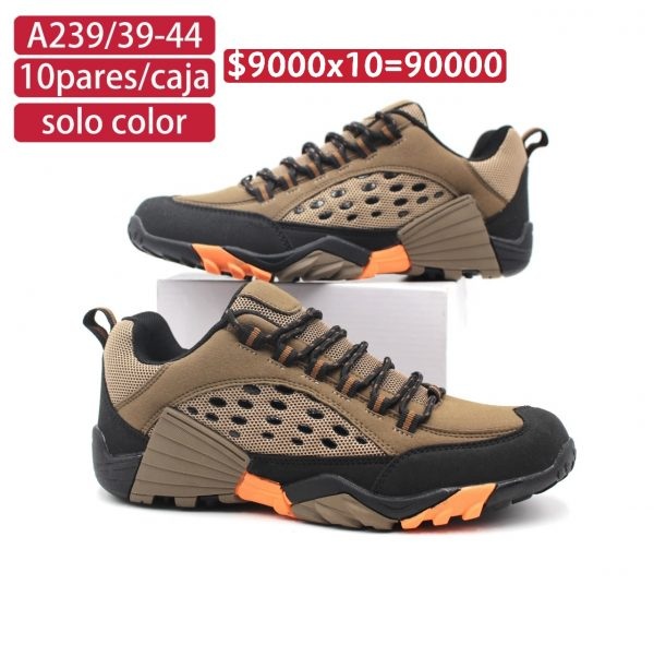 Zapatilla 